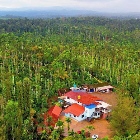 New Organic Home Stay Mudigere Dış mekan fotoğraf