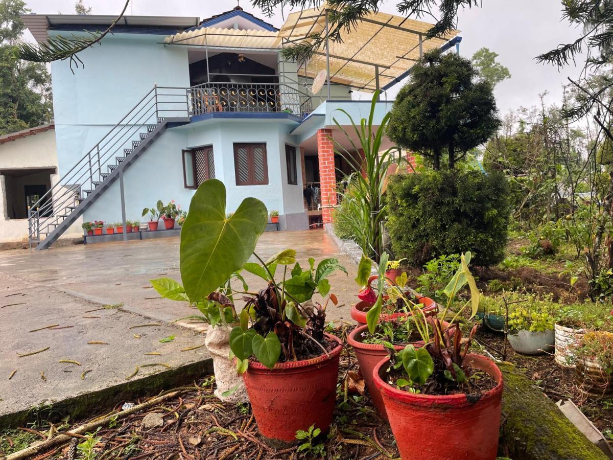 New Organic Home Stay Mudigere Dış mekan fotoğraf