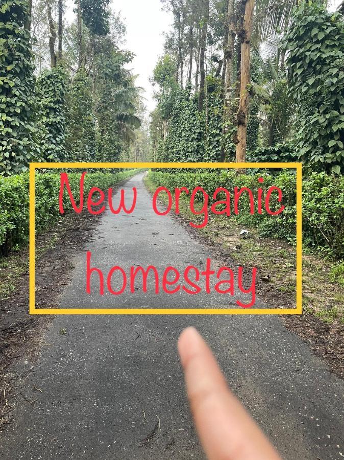 New Organic Home Stay Mudigere Dış mekan fotoğraf