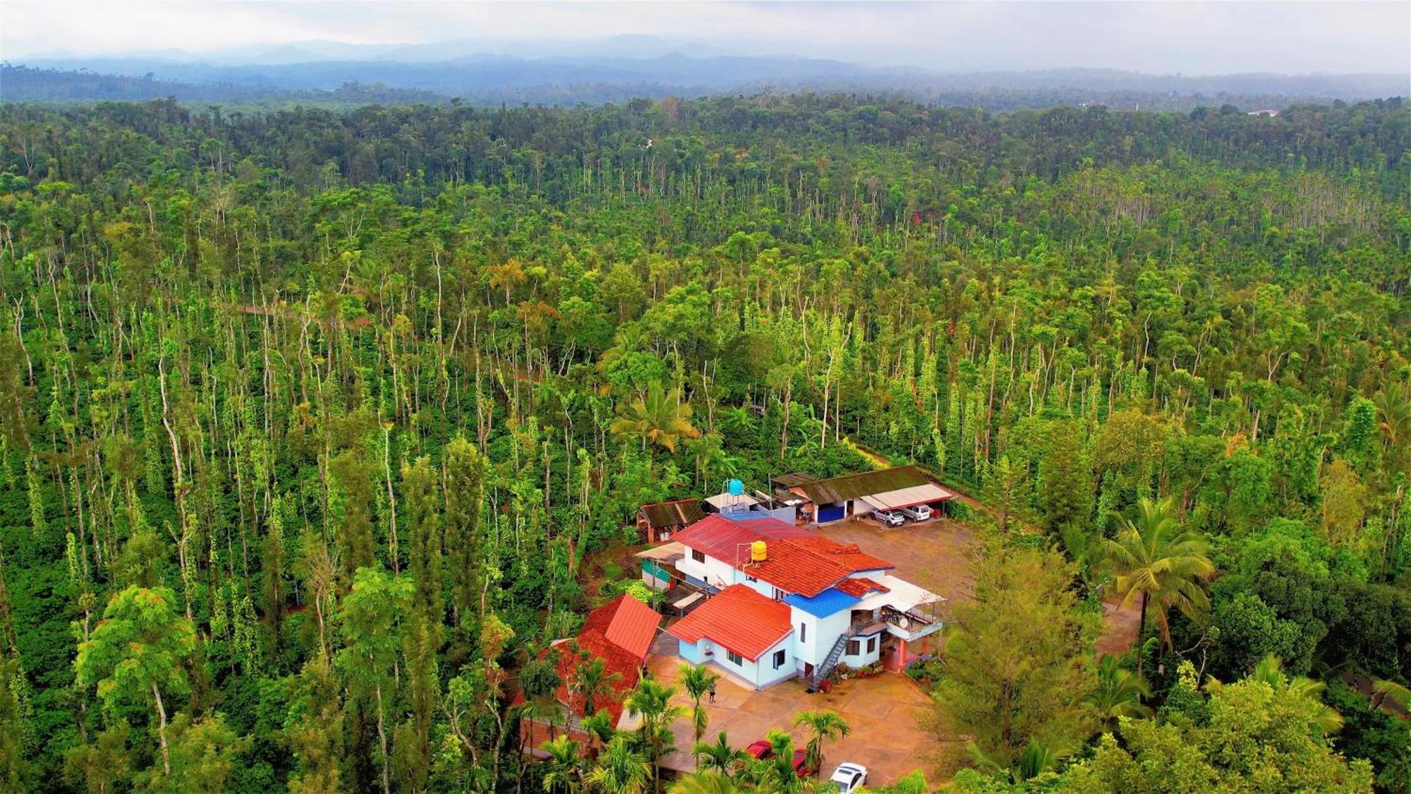 New Organic Home Stay Mudigere Dış mekan fotoğraf